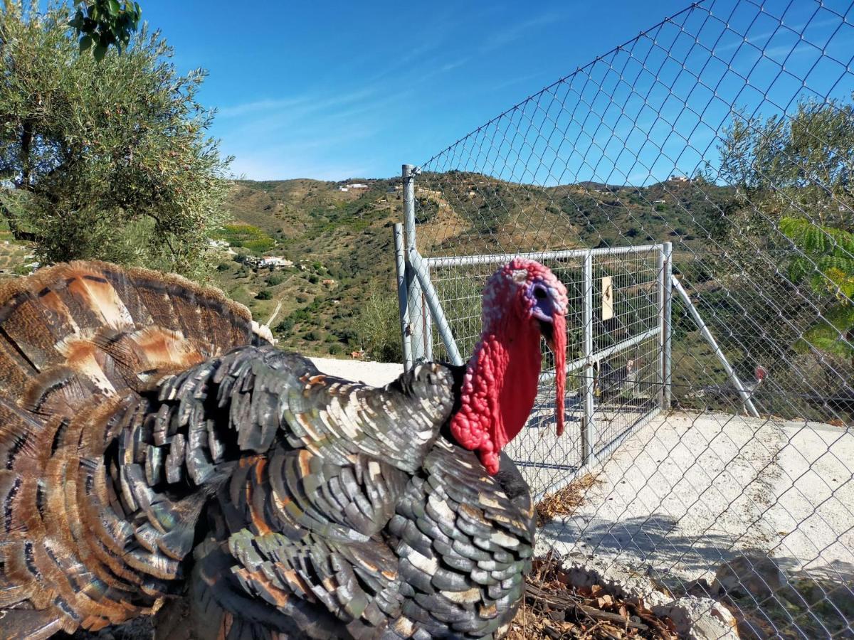 Paraje El Pozo 말라가 외부 사진