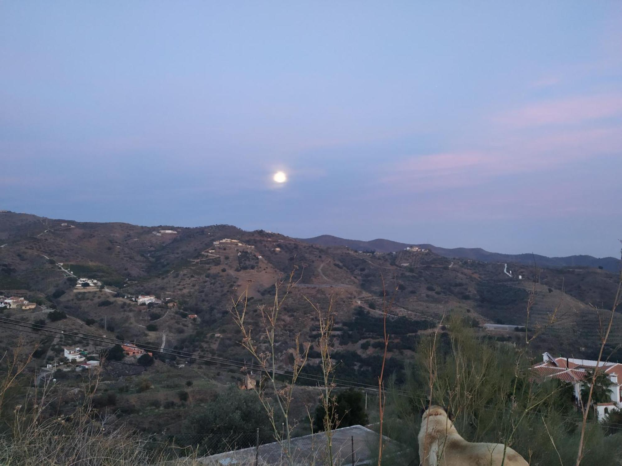 Paraje El Pozo 말라가 외부 사진